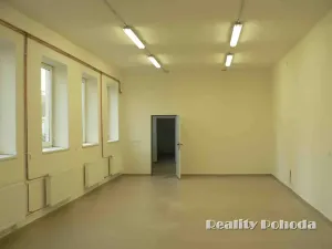 Pronájem skladu, Prostějov, Rejskova, 128 m2