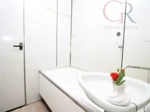 Prodej bytu 1+kk, Plzeň - Skvrňany, Lábkova, 37 m2