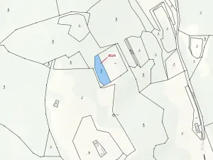 Dražba lesa, Vsetín, 939 m2