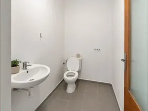 Pronájem obchodního prostoru, Rakvice, 160 m2