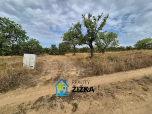Prodej zahrady, Želešice, 870 m2