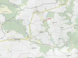 Dražba lesa, Břežany, 2070 m2