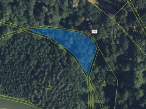 Dražba lesa, Zářecká Lhota, 1712 m2