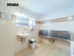 Prodej restaurace, Svinaře, Zelená Hora, 500 m2