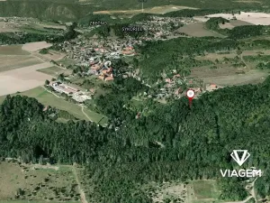 Prodej lesa, Sýkořice, 3269 m2