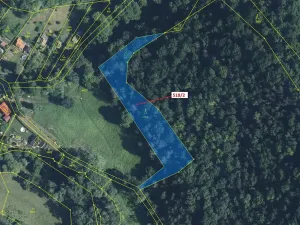 Dražba lesa, Malé Březno, 2957 m2