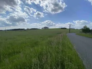 Dražba pole, Planá, 1400 m2