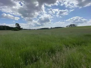 Dražba pole, Planá, 1400 m2