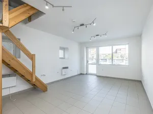 Prodej vícegeneračního domu, Mladá Boleslav, Viničná, 266 m2