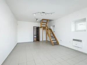 Prodej vícegeneračního domu, Mladá Boleslav, Viničná, 266 m2