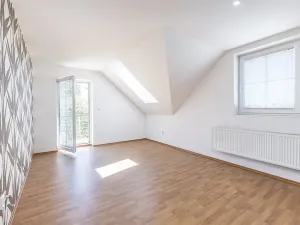 Prodej vícegeneračního domu, Mladá Boleslav, Viničná, 266 m2