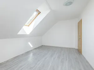 Prodej vícegeneračního domu, Mladá Boleslav, Viničná, 266 m2
