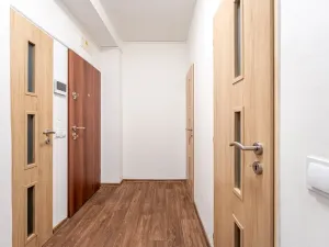 Pronájem bytu 1+1, Brno, Marie Majerové, 45 m2