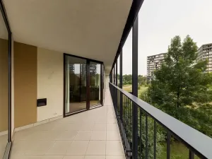Pronájem bytu 2+kk, Praha - Žižkov, Pitterova, 58 m2