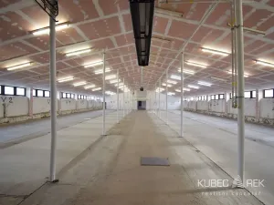 Pronájem skladu, Tábor, Pod Kozím hrádkem, 561 m2
