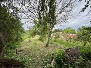 Prodej rodinného domu, Olšany u Prostějova, 230 m2