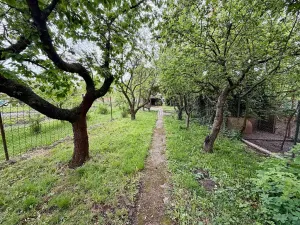 Prodej rodinného domu, Olšany u Prostějova, 230 m2