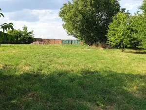 Prodej rodinného domu, Olbramice, 190 m2