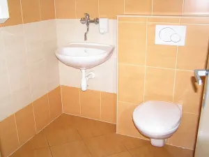 Pronájem obchodního prostoru, Prostějov, Netušilova, 67 m2