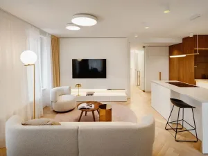 Pronájem bytu 2+kk, Praha - Staré Město, U milosrdných, 55 m2
