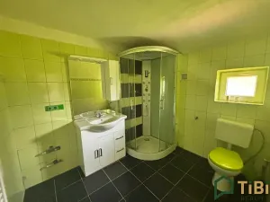 Prodej rodinného domu, Dětřichov nad Bystřicí, 220 m2