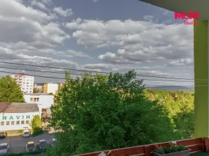 Pronájem bytu 2+1, Cheb, Osvobození, 56 m2