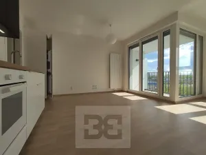 Pronájem bytu 1+kk, Praha - Žižkov, Olgy Havlové, 37 m2