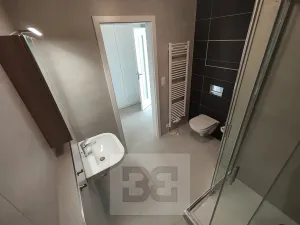 Pronájem bytu 1+kk, Praha - Žižkov, Olgy Havlové, 37 m2