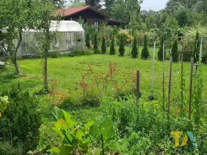 Prodej zahrady, Karviná, Olšiny, 402 m2