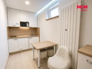 Pronájem bytu 1+kk, Louny, Sladkovského, 28 m2