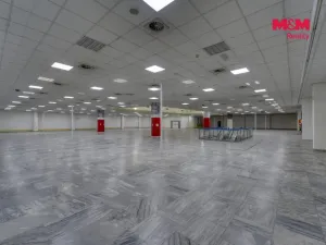 Pronájem obchodního prostoru, Plzeň - Východní Předměstí, Americká, 1603 m2