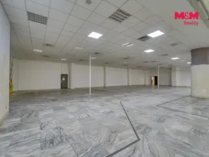 Pronájem obchodního prostoru, Plzeň - Východní Předměstí, Americká, 1603 m2
