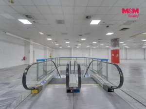 Pronájem obchodního prostoru, Plzeň - Východní Předměstí, Americká, 1603 m2