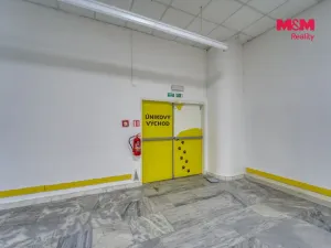 Pronájem obchodního prostoru, Plzeň - Východní Předměstí, Americká, 1603 m2