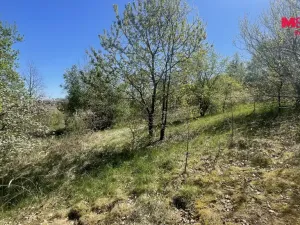 Prodej pozemku pro bydlení, Blatná - Čekanice, 3556 m2