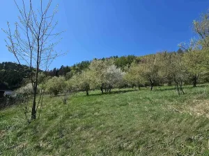 Prodej pozemku pro bydlení, Štěpánov nad Svratkou, 3802 m2
