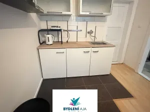 Prodej bytu 1+1, Teplice, Fügnerova, 43 m2