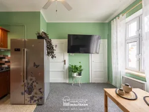 Prodej bytu 1+1, Olomouc, 17. listopadu, 48 m2