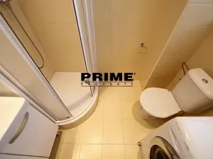 Pronájem bytu 1+1, Praha - Vinohrady, Máchova, 40 m2