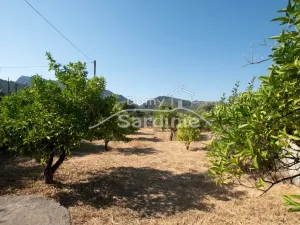 Prodej rodinného domu, Viddalba, Sardinie, Itálie, 170 m2
