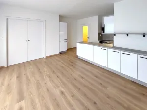 Pronájem bytu 2+kk, Brno, U Červeného mlýna, 53 m2