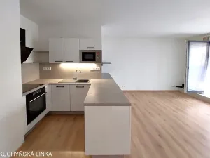 Pronájem bytu 2+kk, Brno, U Červeného mlýna, 53 m2