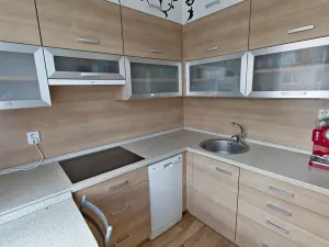 Prodej bytu 1+1, Klenčí pod Čerchovem, 32 m2