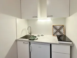 Pronájem bytu 1+kk, Brno, Cejl, 24 m2