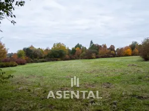 Prodej pozemku, Orlová - Město, Pod Lipou, 43470 m2