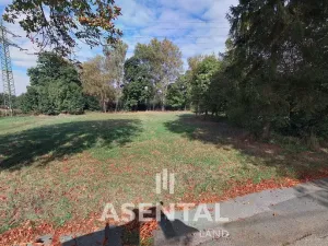 Prodej komerčního pozemku, Orlová - Město, Bezručova, 2499 m2