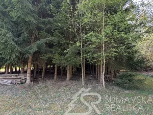 Prodej pozemku, Soběšice, 8878 m2