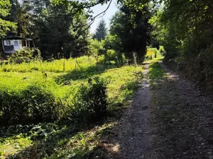 Prodej zahrady, Mšeno, 410 m2