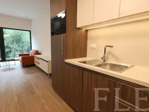 Pronájem bytu 1+kk, Praha - Žižkov, Hartigova, 48 m2