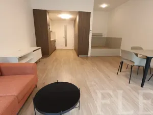 Pronájem bytu 1+kk, Praha - Žižkov, Hartigova, 48 m2